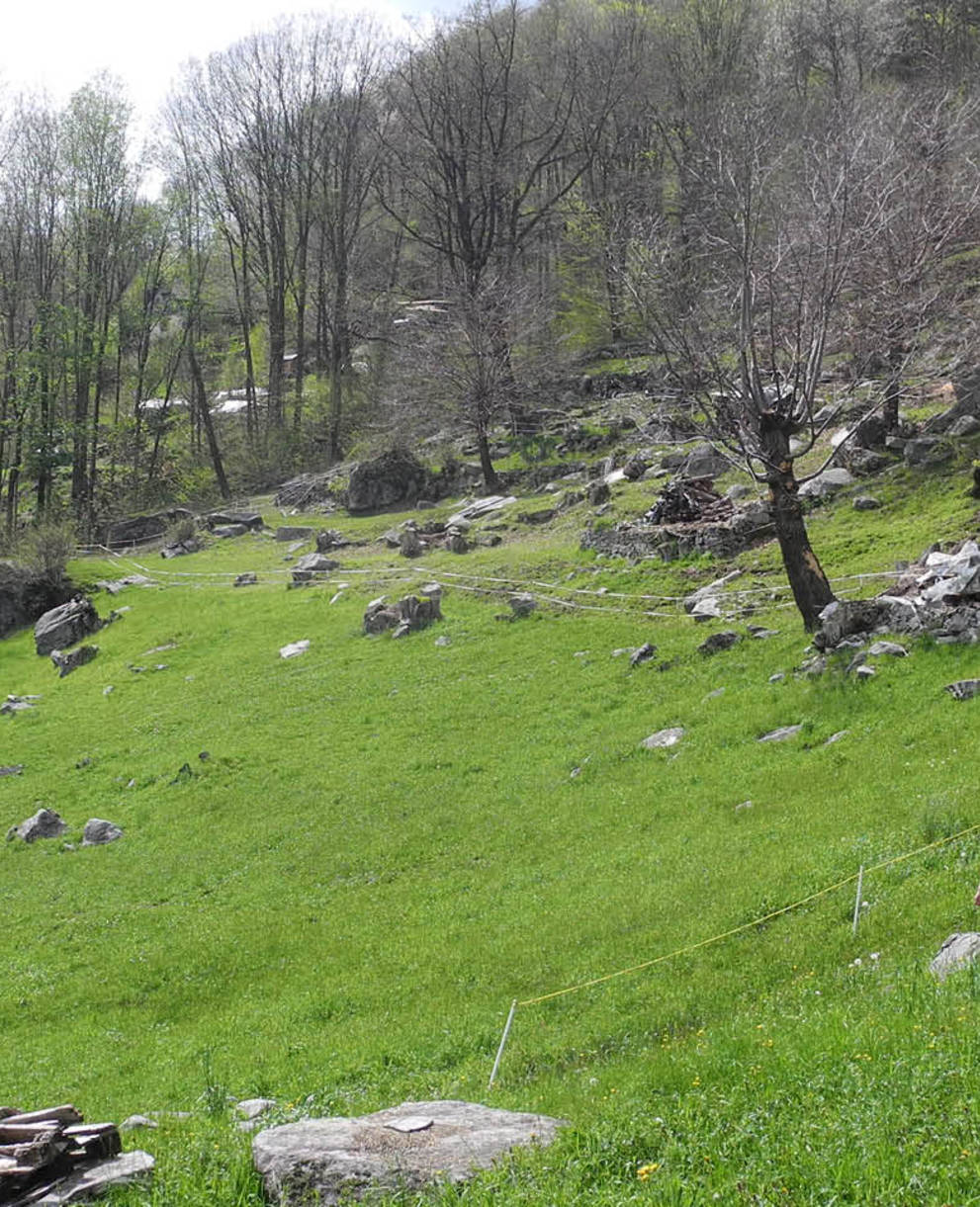 Pro Natura aktiv, Tagesexkursion, Naturwald Tessin