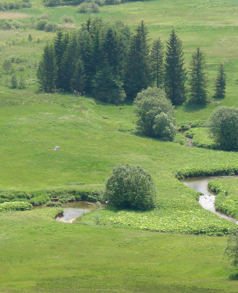 Moorlandschaft Rothenturm