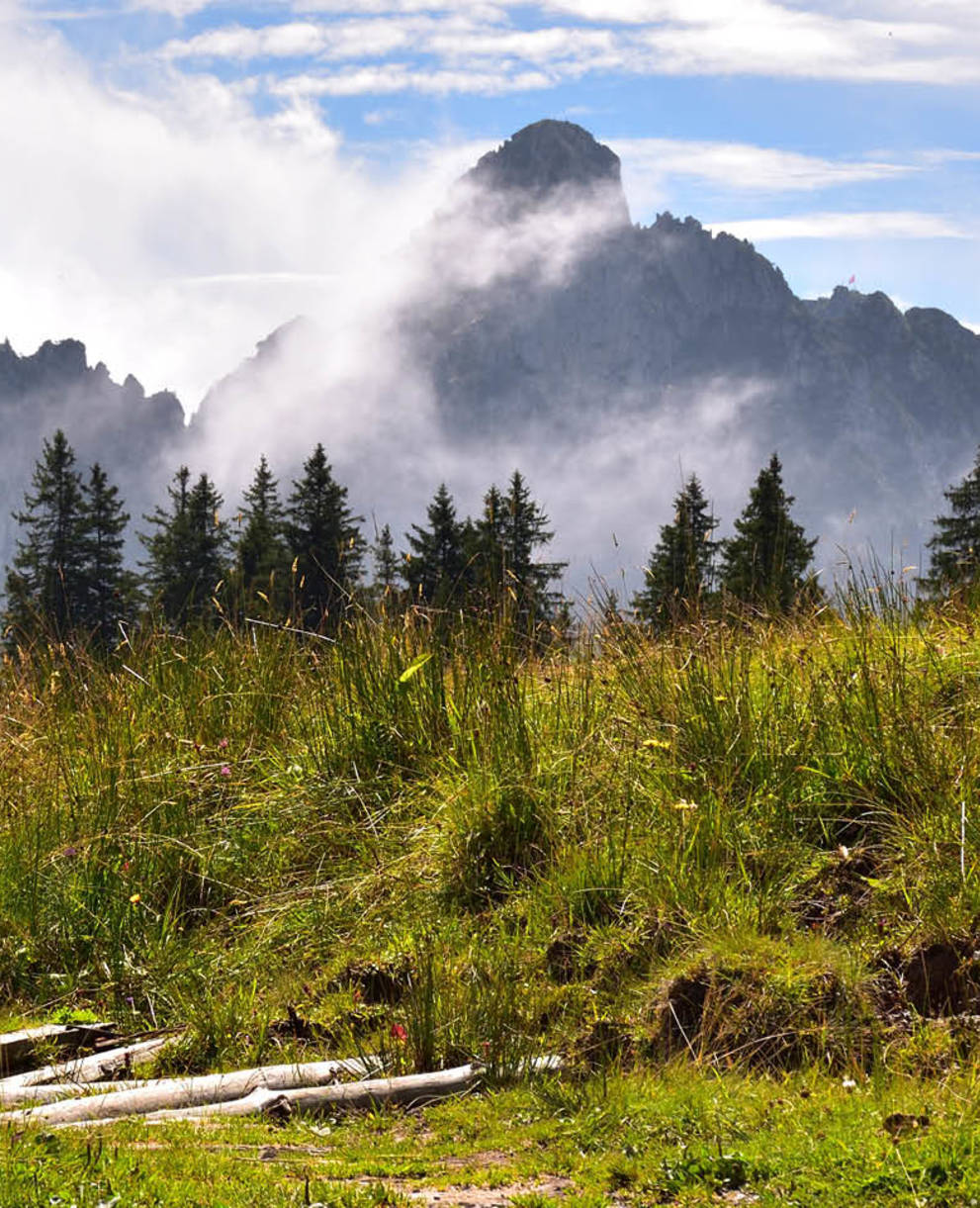 Tagesexkursion, Berglandschaft im Spätsommer