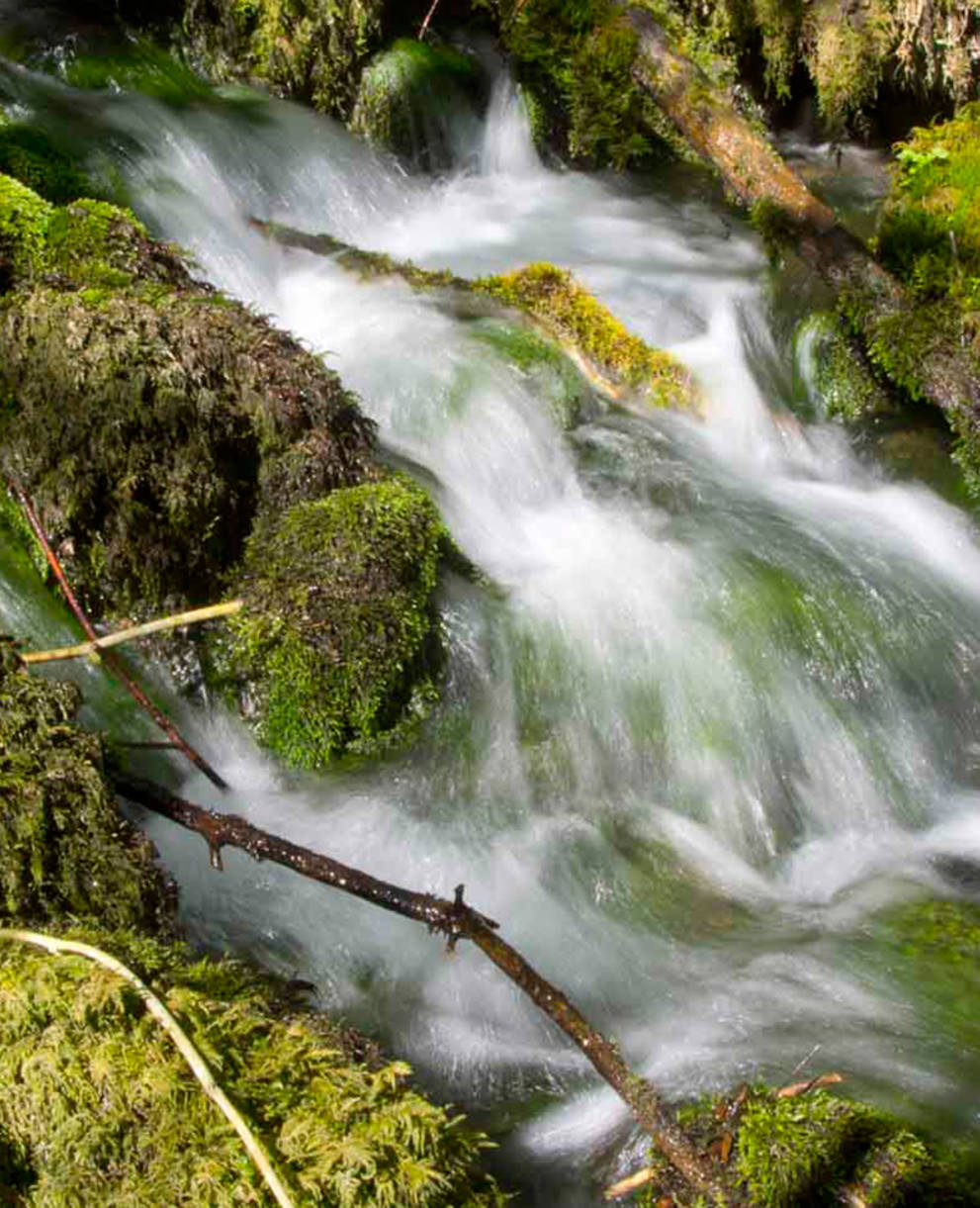 Rivière dans le Jura