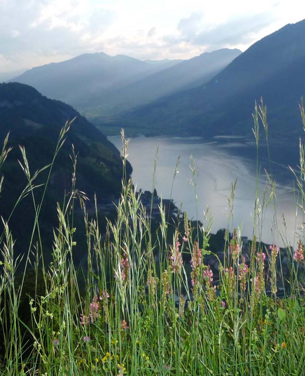 Blick von der Oberen Stöchmatt