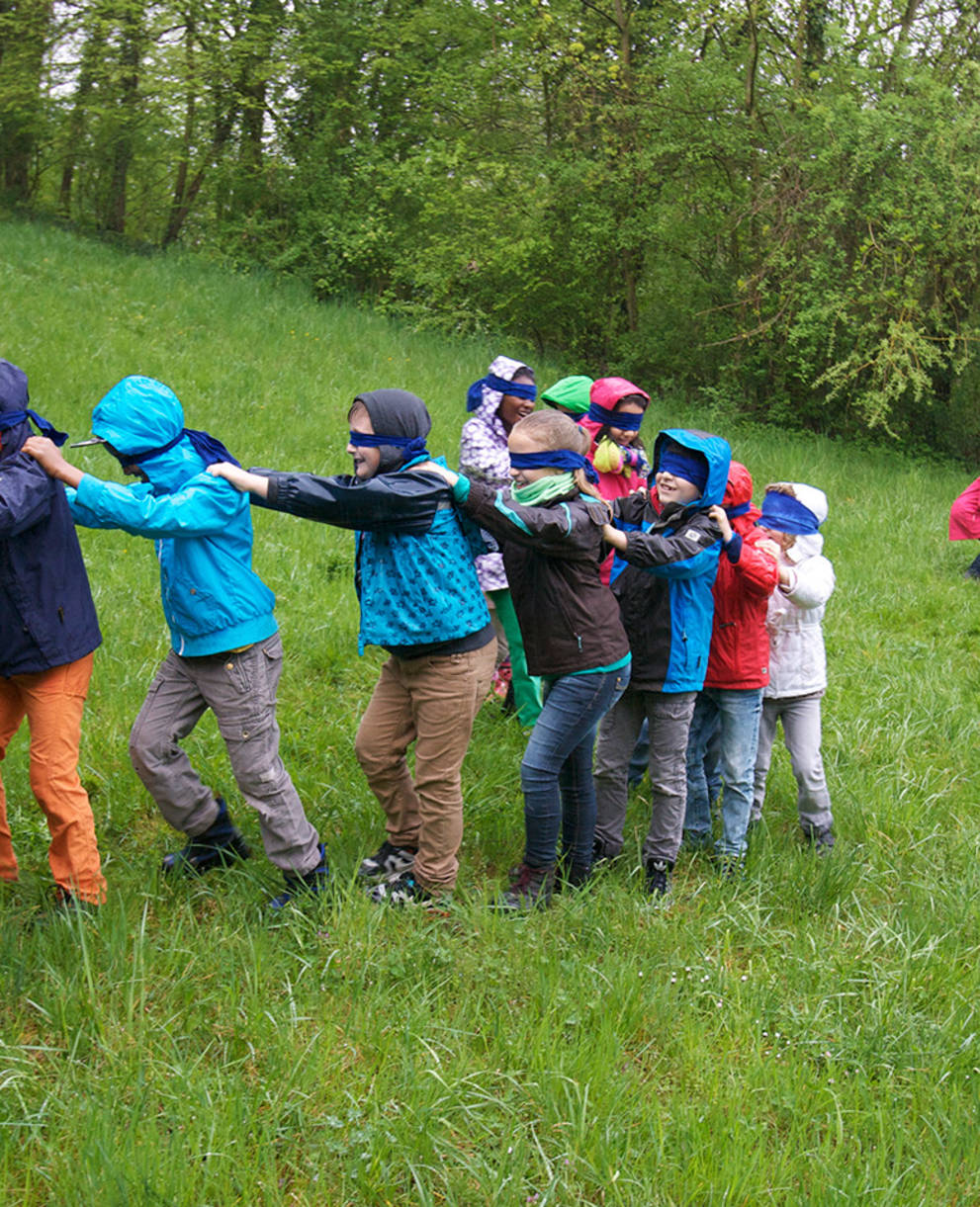 Un groupe d'enfants lors d'une animation nature