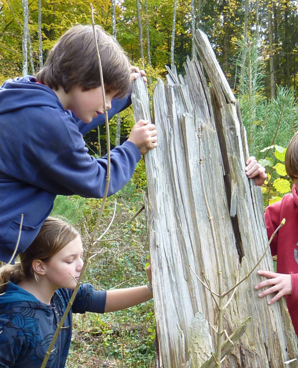 Trois enfants jouent autour d'un tronc cassé