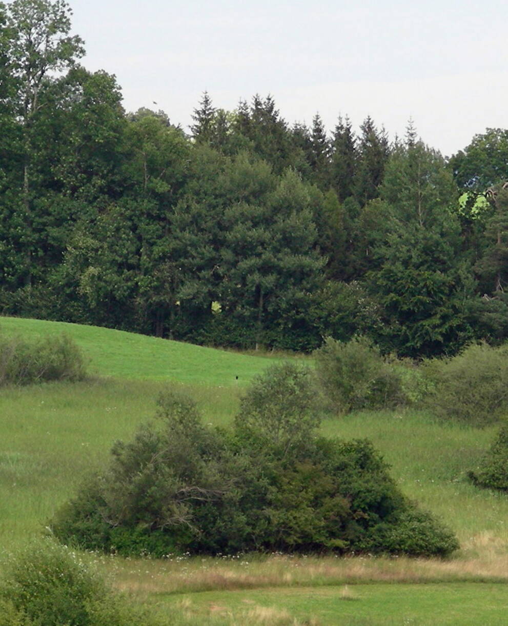 Schutzgebiet Oberbergfeld, Gossau