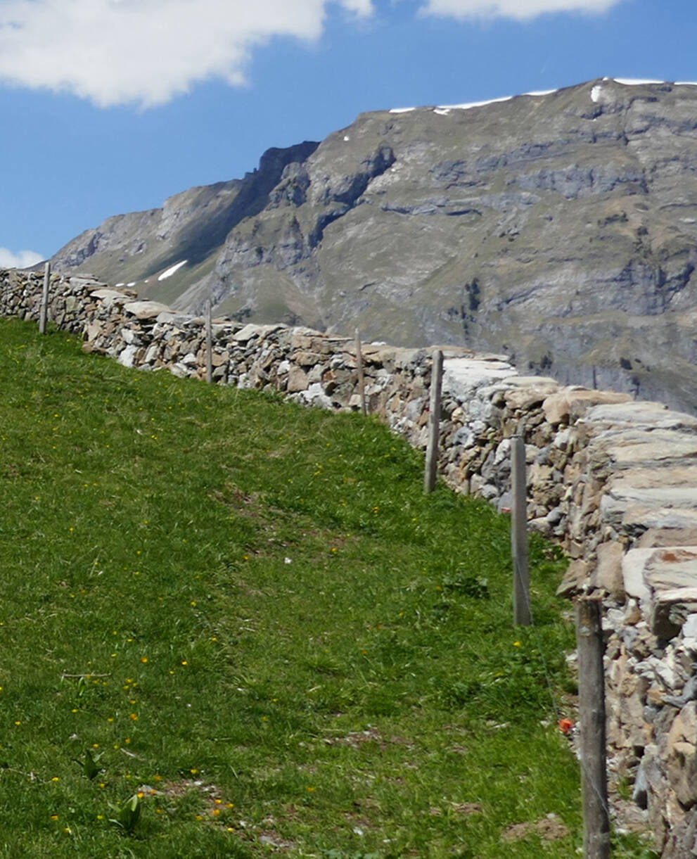 Trokenmauer Baumgartenalp