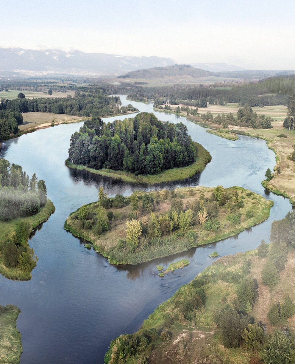 Einstige Flusslandschaft der Aare bei Lyss