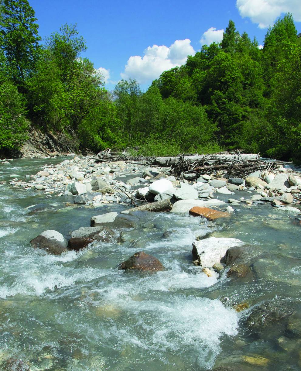 Weniger Pestizide für gutes Trinkwasser – das fordert die Trinkwasserinitiative