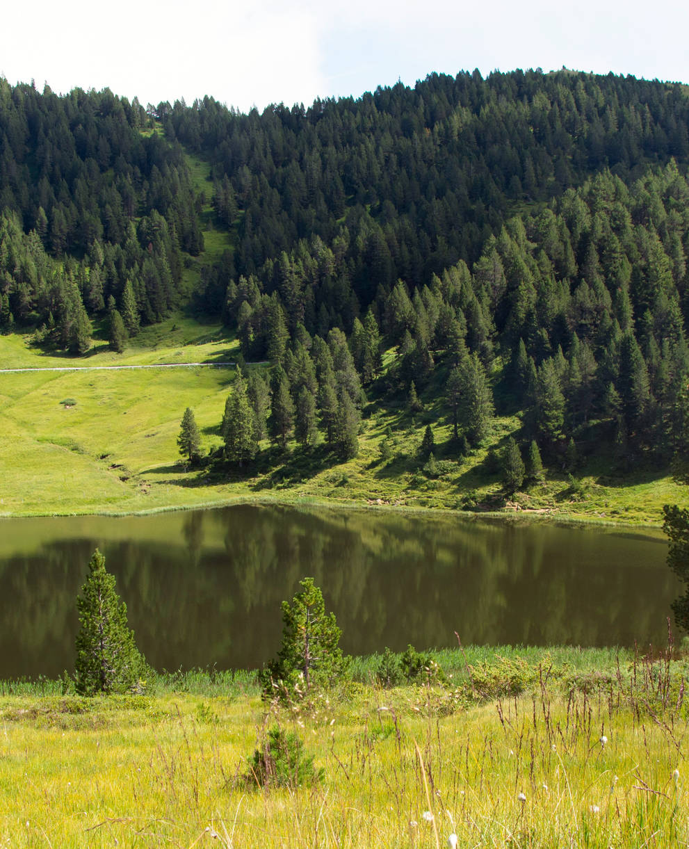 Blick über die Moorlandschaft