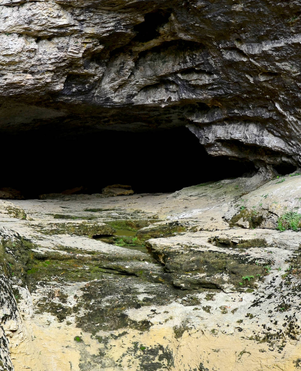 Les habitats souterrains sont encore peu explorés.