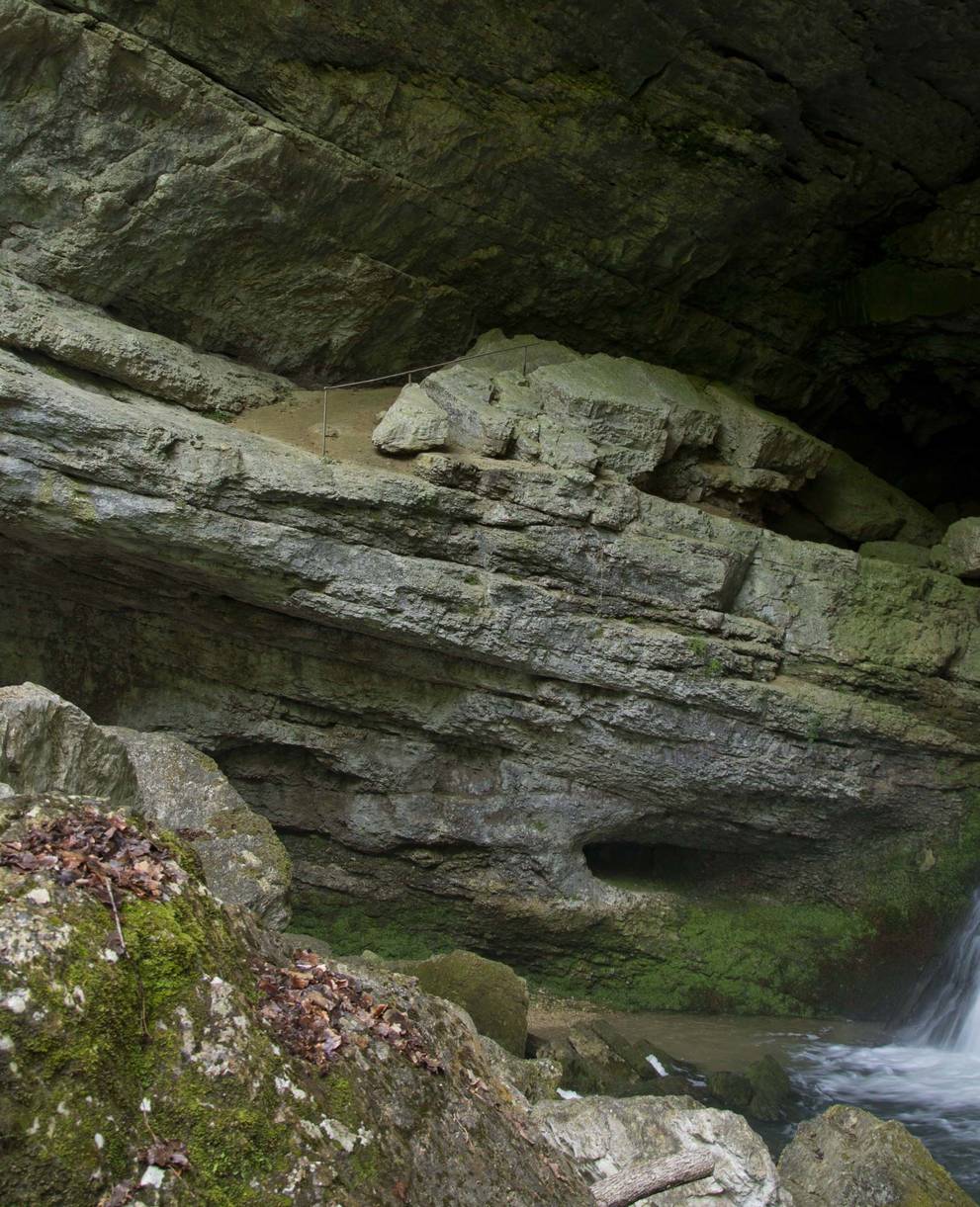 Les grottes sont des habitats particulièrement fragiles.