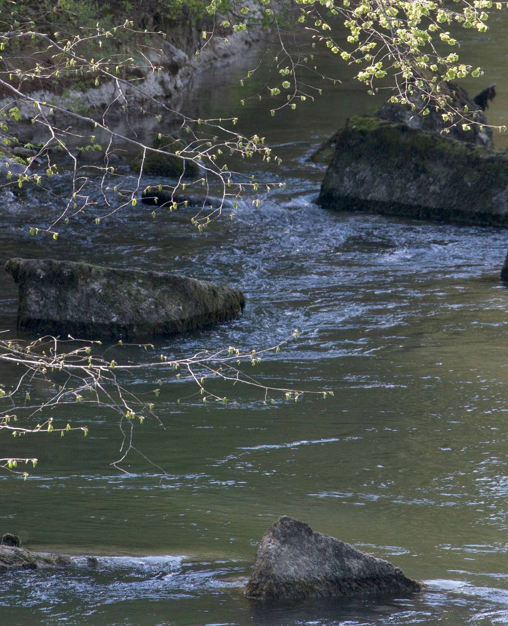 Une grande partie des eaux suisses est polluée par des pesticides.