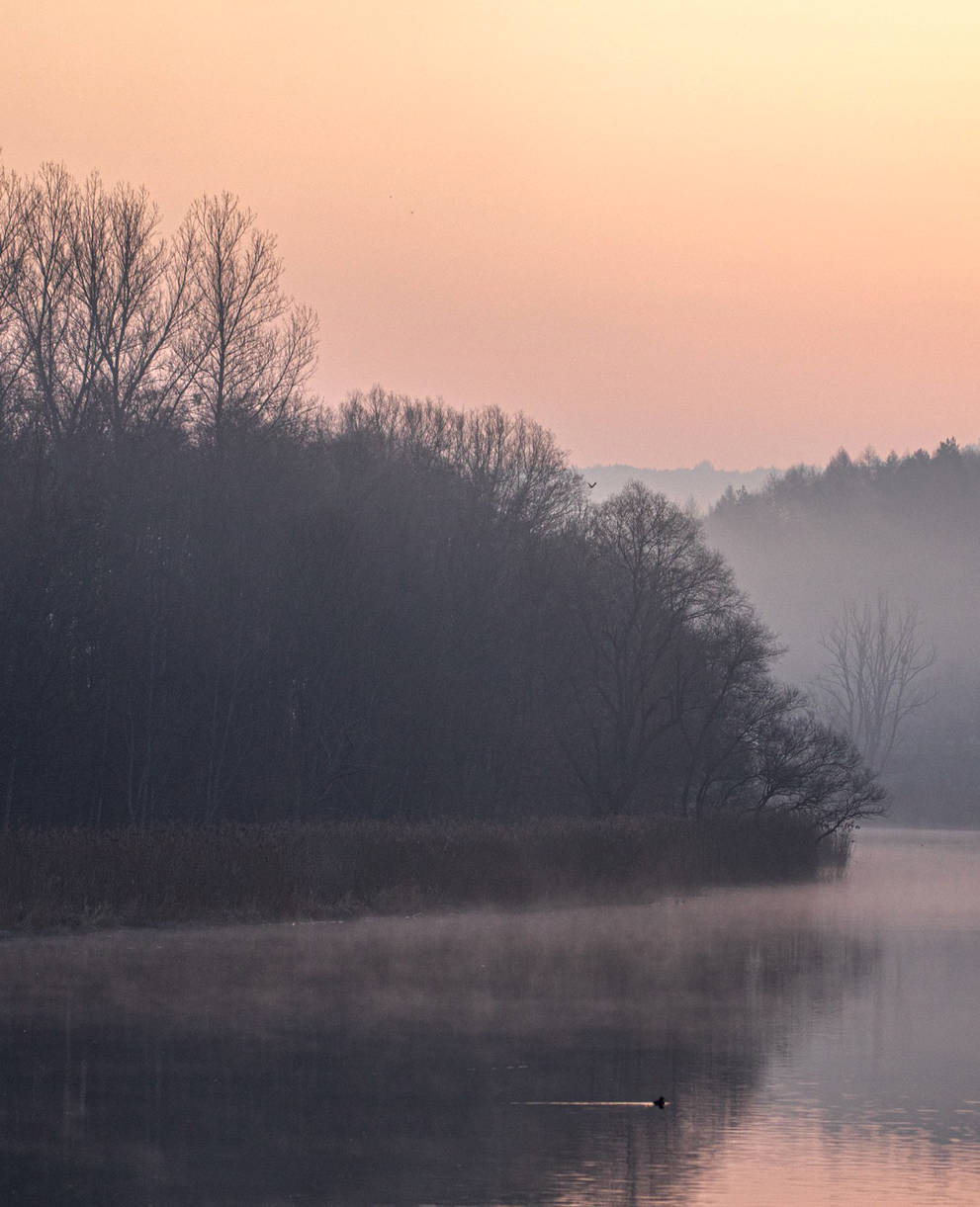 Morgenstimmung über See @ Matthias Sorg