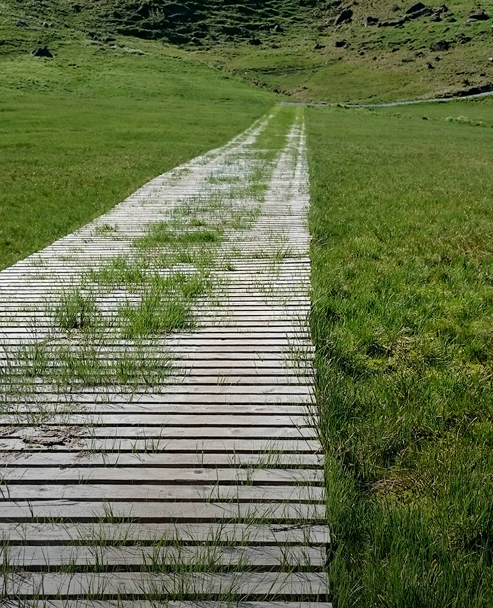 Route à travers un marais protégé au niveau national sur le Glaubenberg