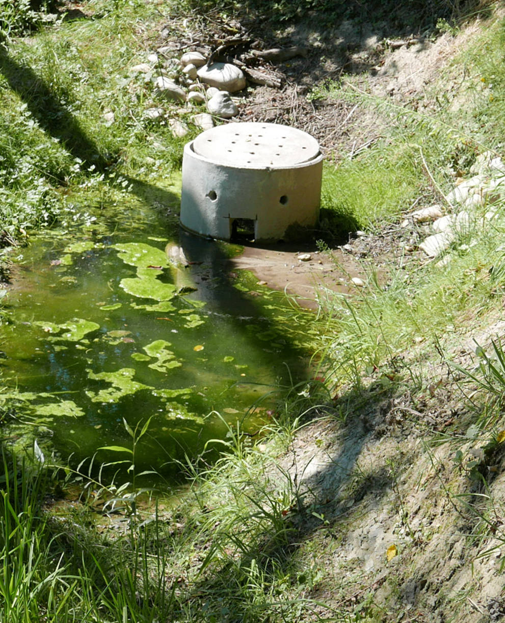 Ein neu erstellter Tümpel sammelt das Quellwasser der beiden Quellen. Der Überlauf des Tümpels befindet sich im Schacht.