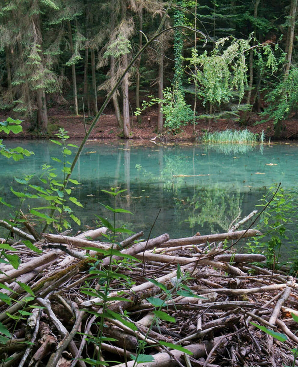 Steibachweiher