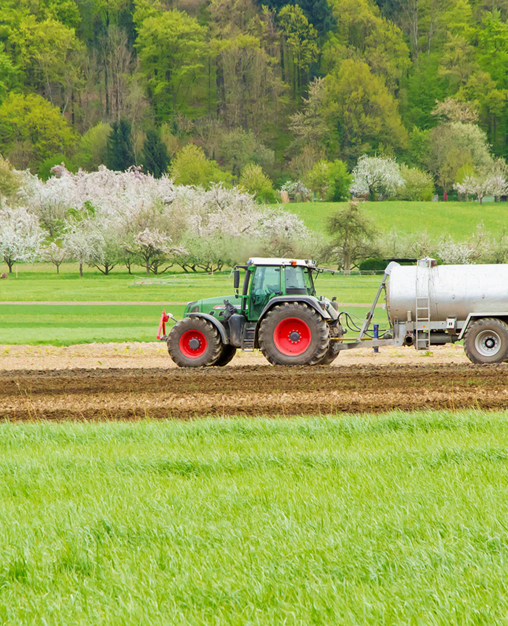 Un tracteur pulvérise du fumier liquide sur le champ