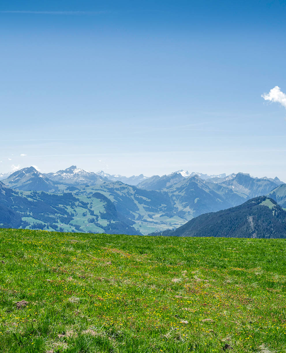 Regionaler Naturpark Gruyère Pays-d’Enhaut