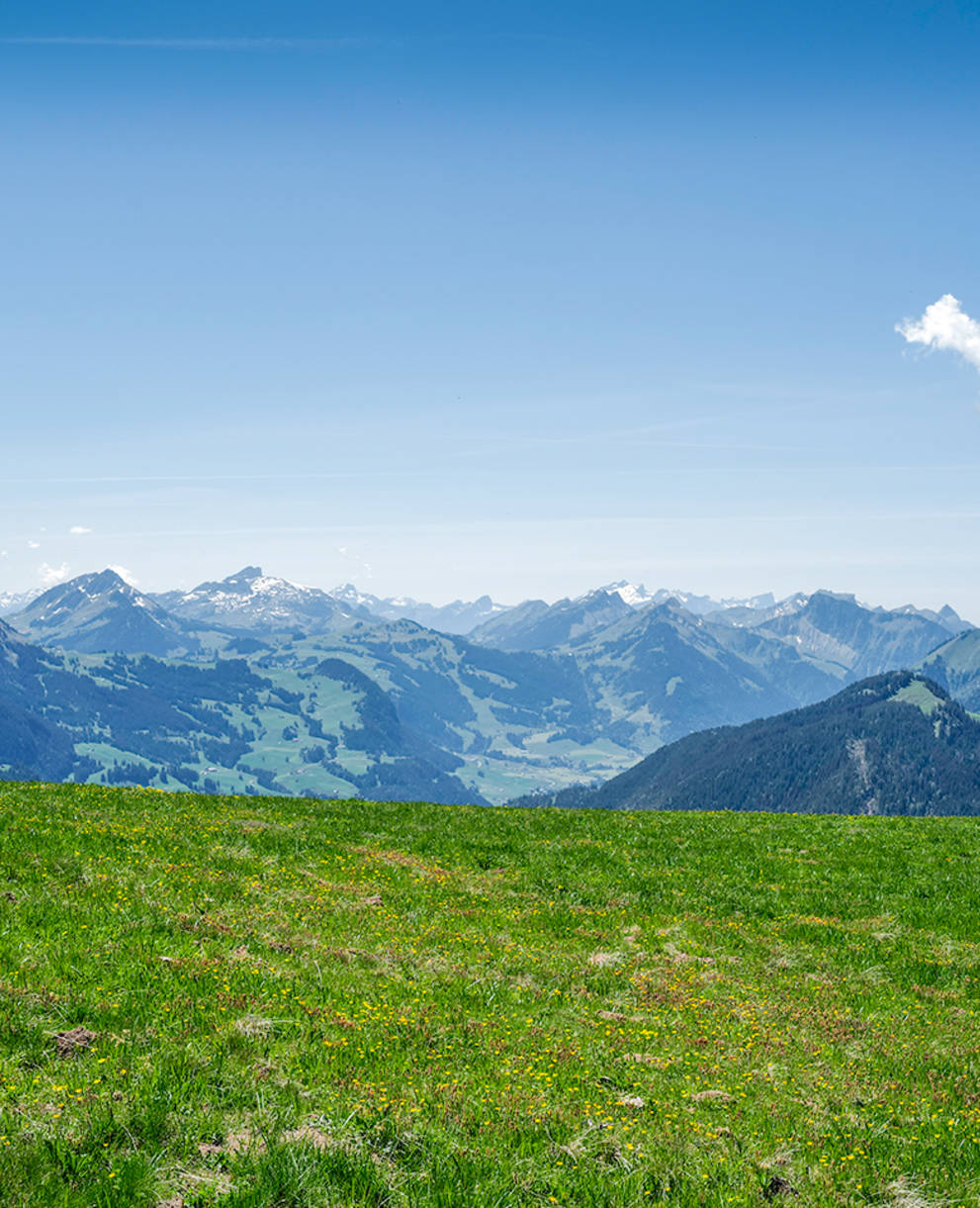 Parc naturel régional Gruyère Pays-d’Enhaut