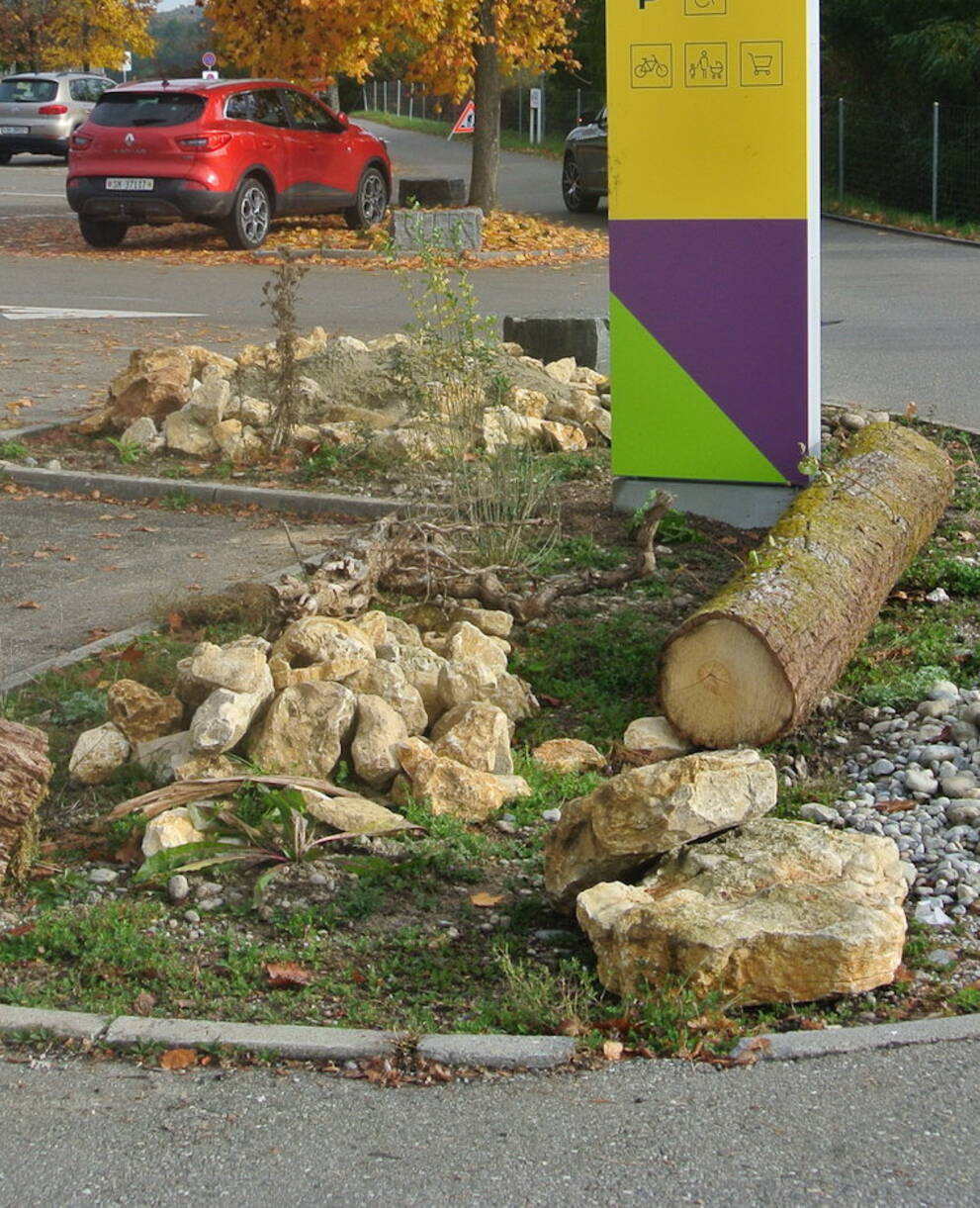 Wildbienenförderung auf dem Parkplatz