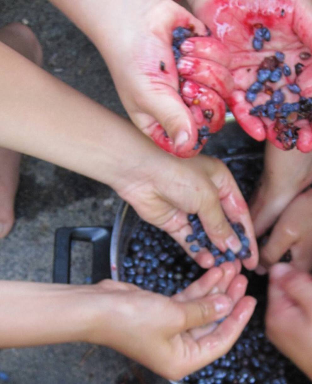 Ein Topf mit Beerensaft,