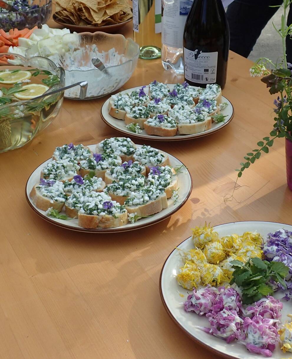 Genussvolles Wildpflanzenapéro,