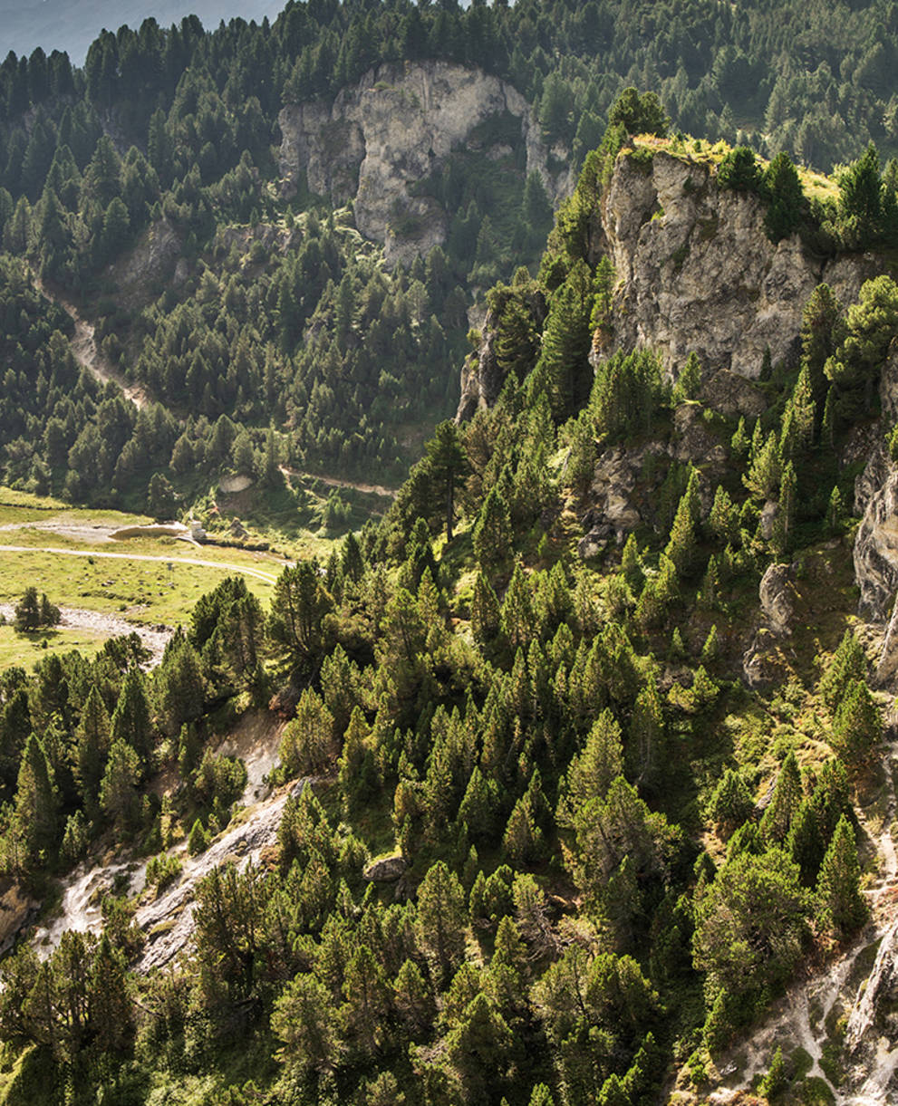 Nature sauvage au col du Lukmanier