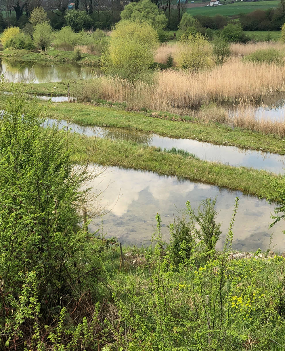 Réserve naturelle d'Auried