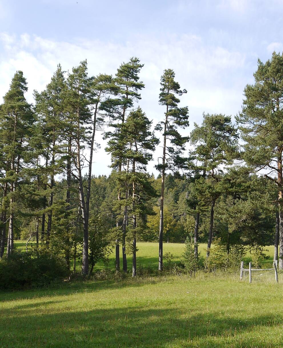 Schutzgebiet Blaase