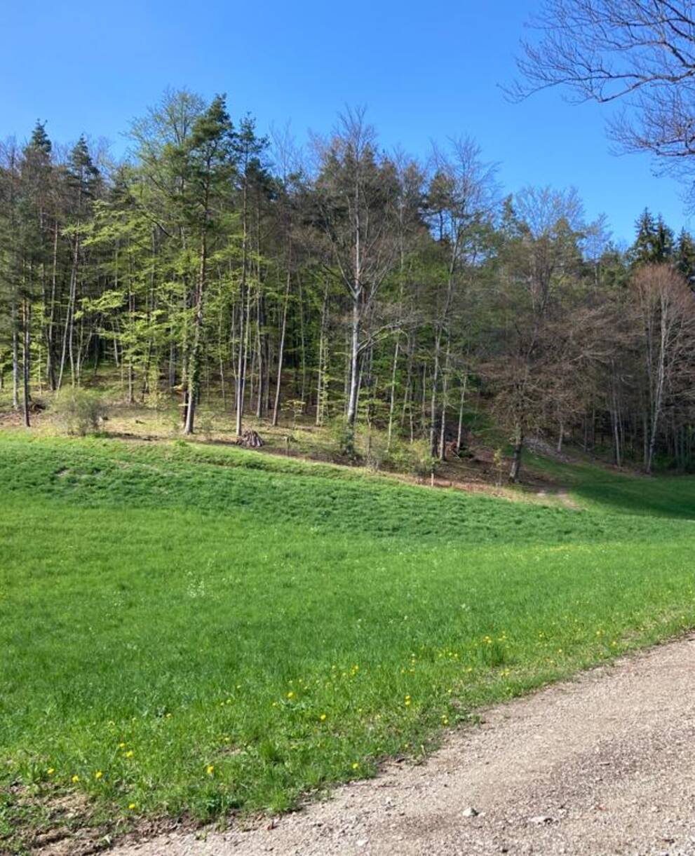 Schlösslibuck