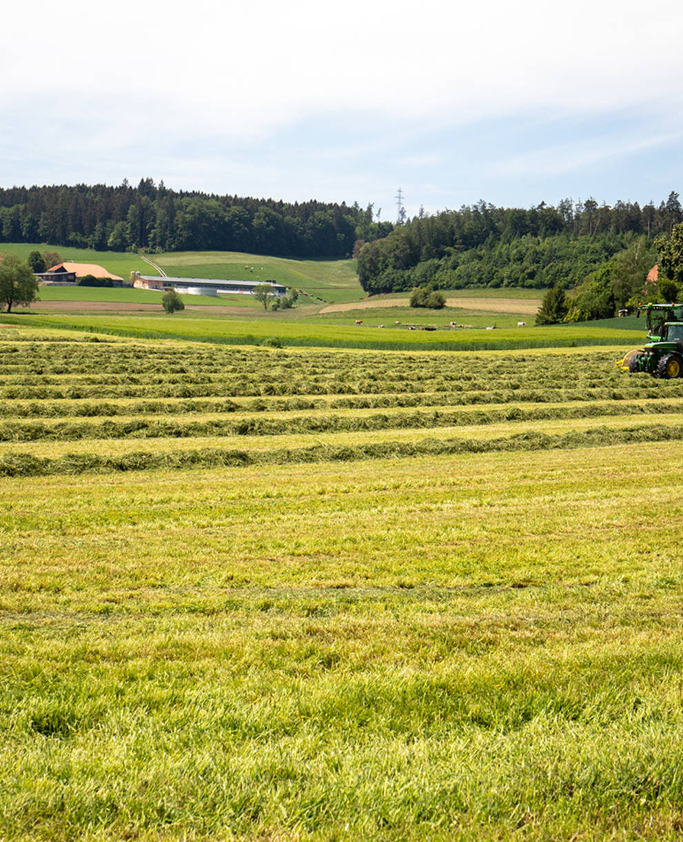 Symbolbild Landwirtschaft