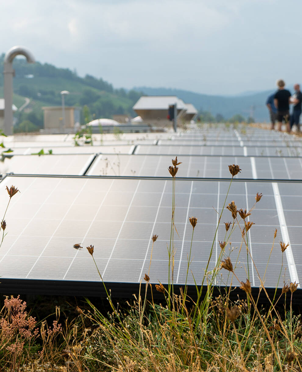 Solaranlage Siedlungsraum