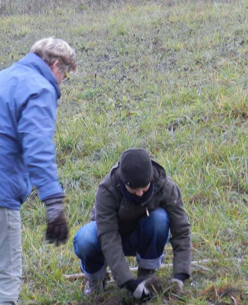 Arbeitseinsatz für die Natur