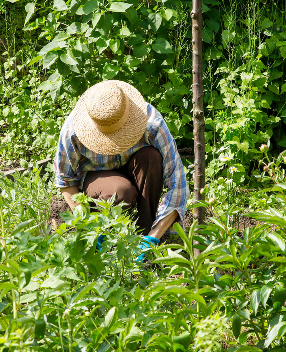 Femme en train de jardiner dans un jardin naturel