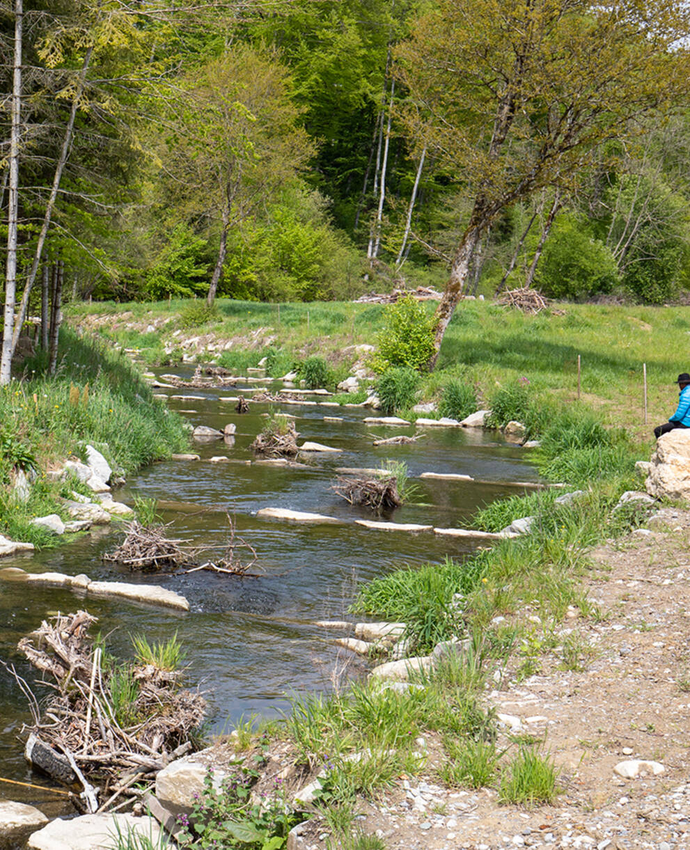 Pro Natura Projekt Biberaue Ferenbalm BE