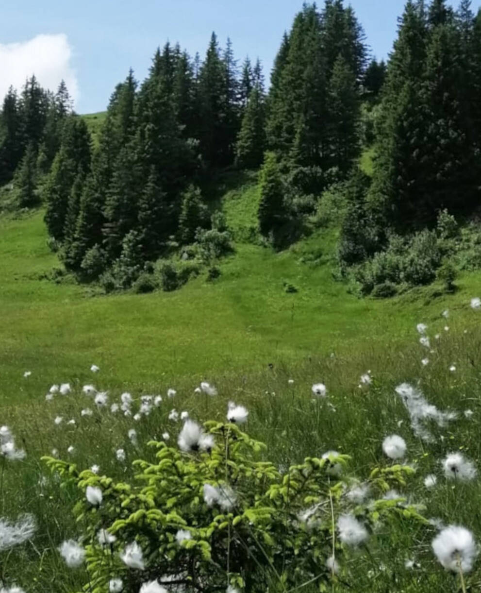 Moorlandschaft Glaubenberg