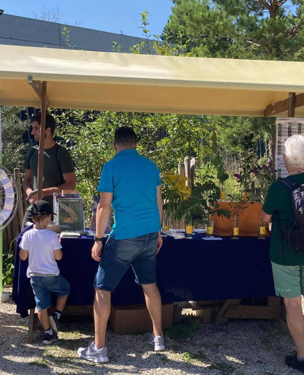 Ökomarkt St. Gallen