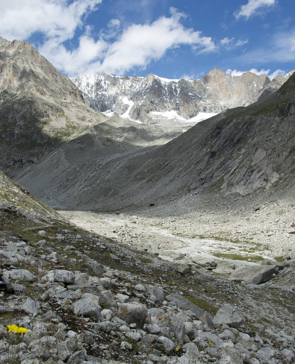 Berner Hochalpen und Aletsch-Bietschhorn-Gebiet