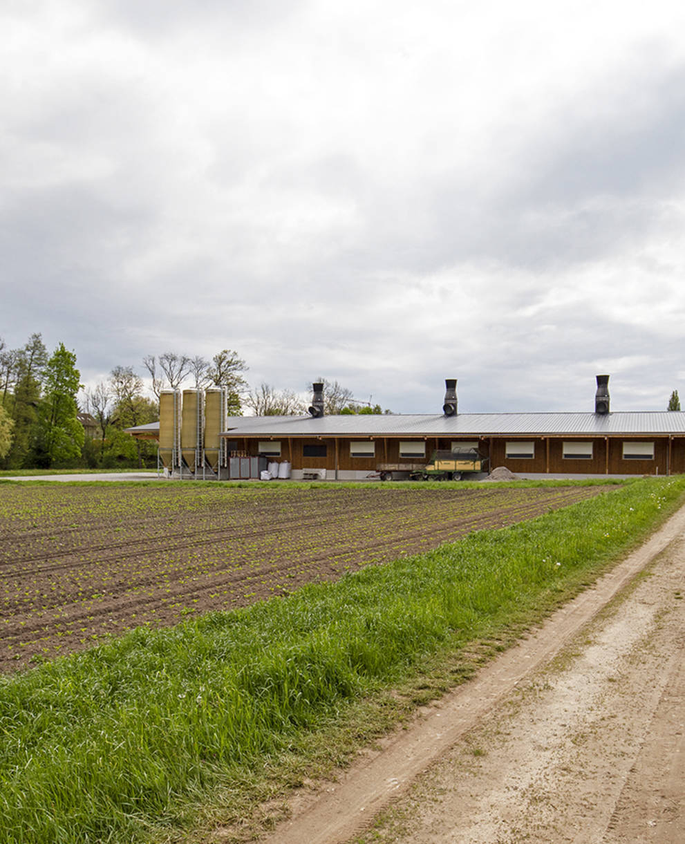 Geflügelhalle auf Landwirtschaftsfläche im Kanton Fribourg. Zonenkonform oder nicht?