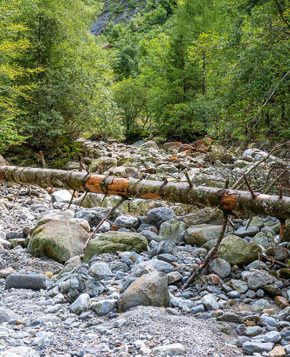 Trockenes Flussbett im Val Cama