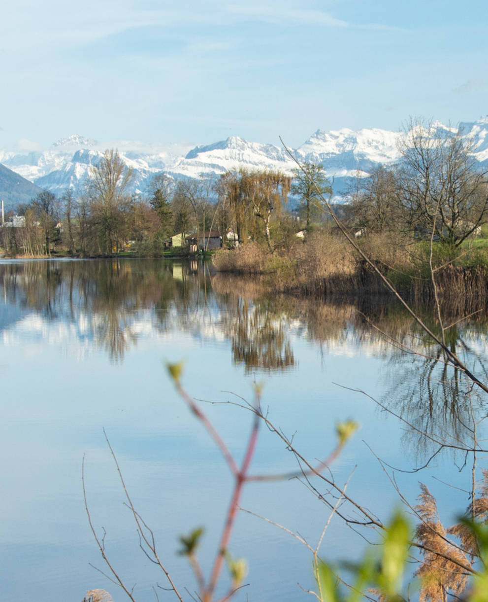 Réserve naturelle Baldeggersee