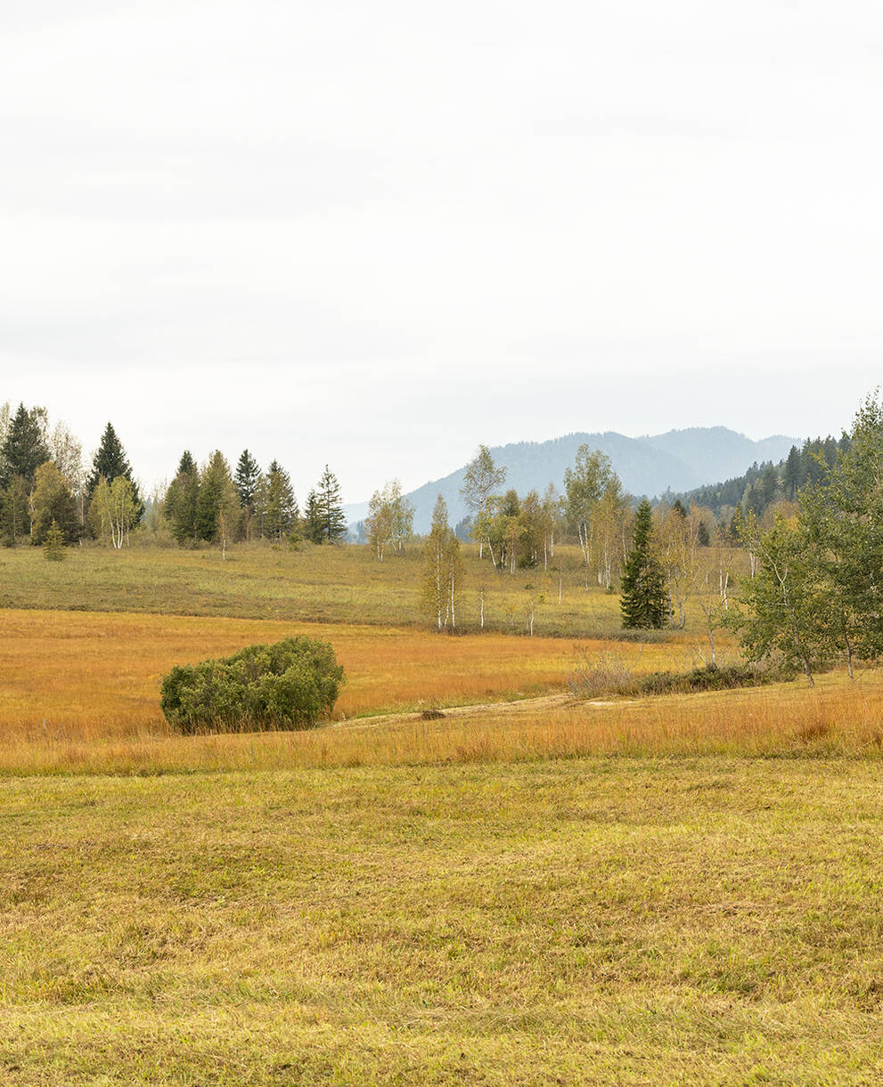 Moorebene Rothenthurm