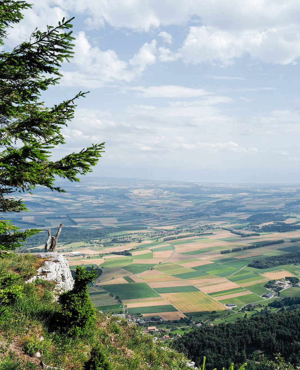 Wieso wir für gute Raumplanung Platz schaffen müssen Pro Natura