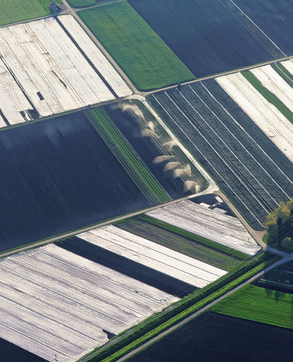 Die zunehmende Intensivierung der landwirtschaftlichen Nutzung und das Ausräumen von natürlichen Elementen haben im 3-Seen-Land zu einer Verödung der Landschaft geführt.