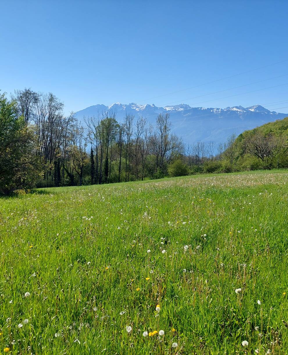 Zone du projet 