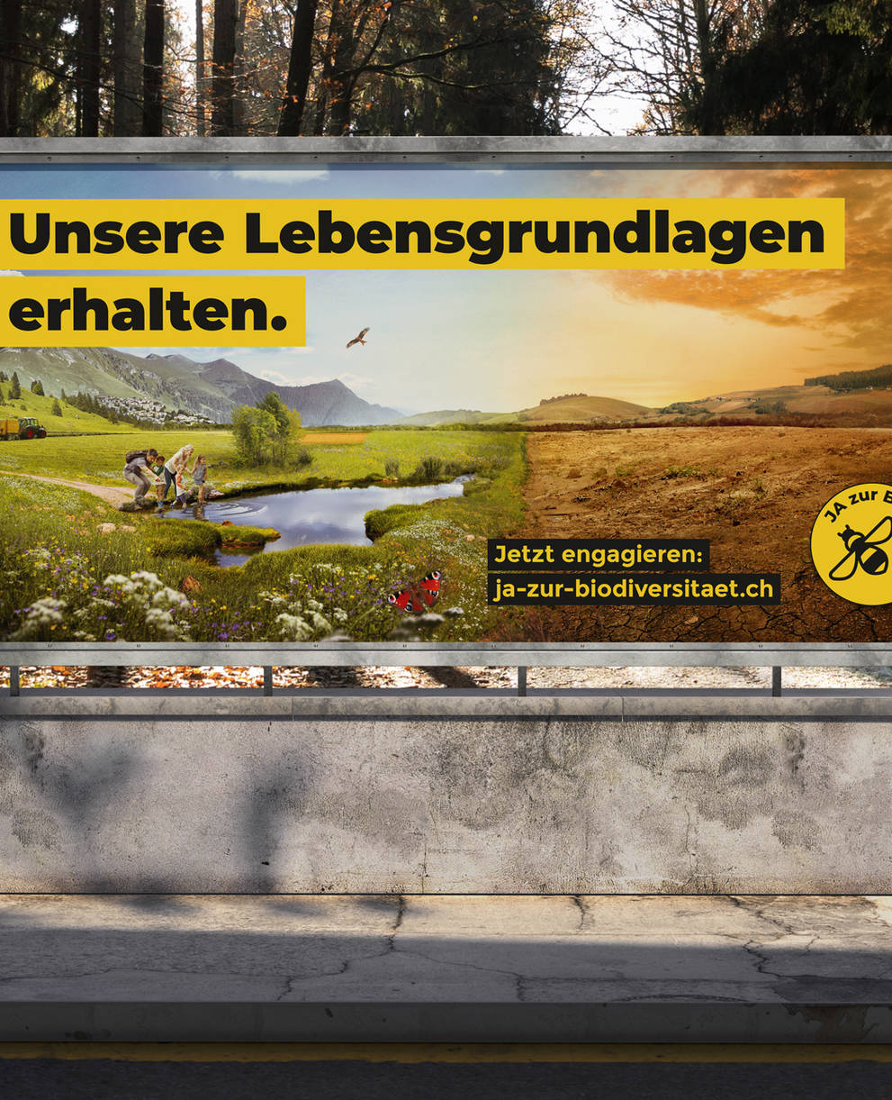 Banner Biodiversitätsinitiative