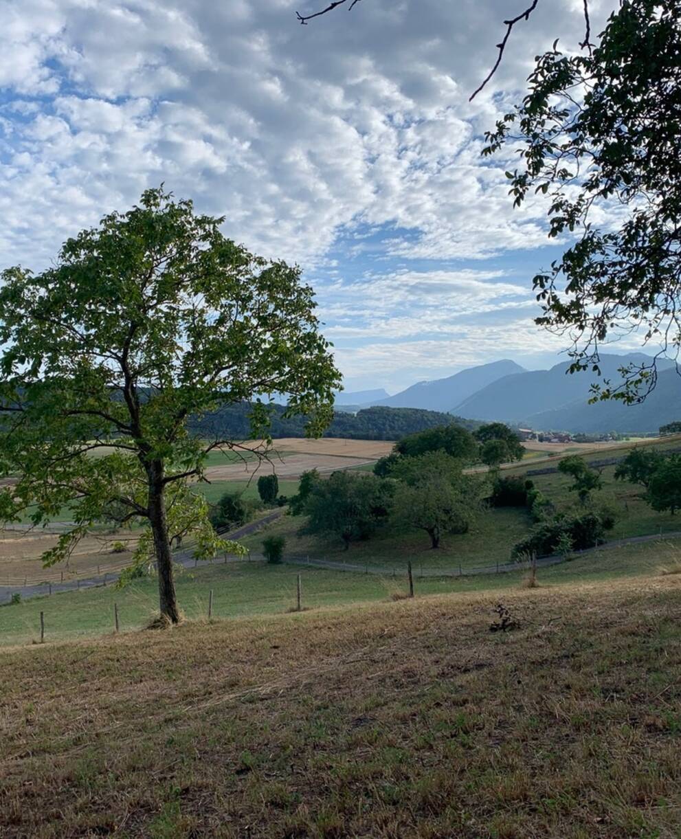 Paysage agricole à Fontaines-sur-Grandson