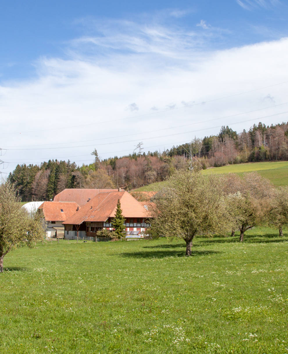 Exploitation agricole avec arbres fruitiers haute-tige à Frienisberg © Matthias Sorg