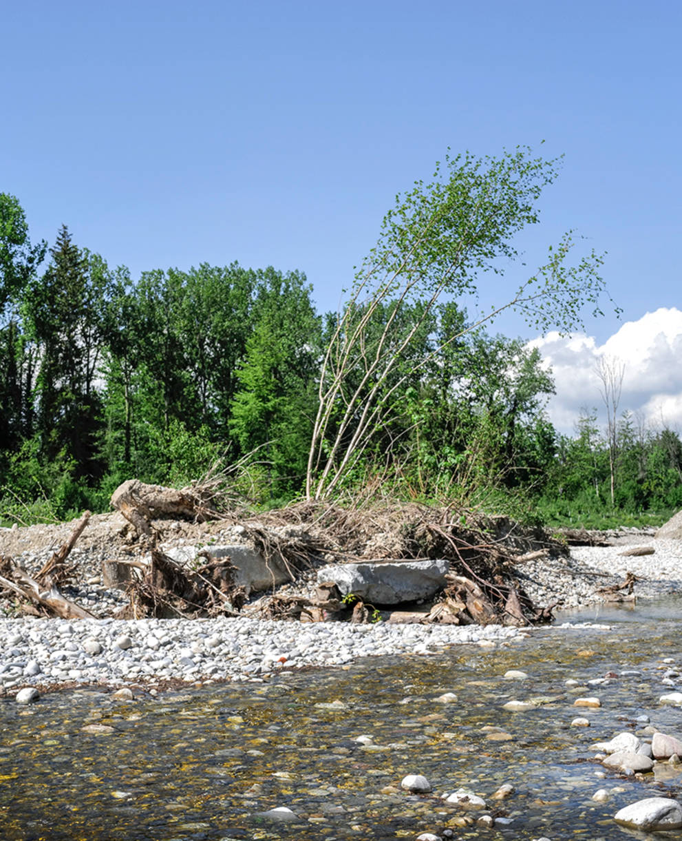 Zone alluviale d'importance nationale à Utzenstorf Schachen