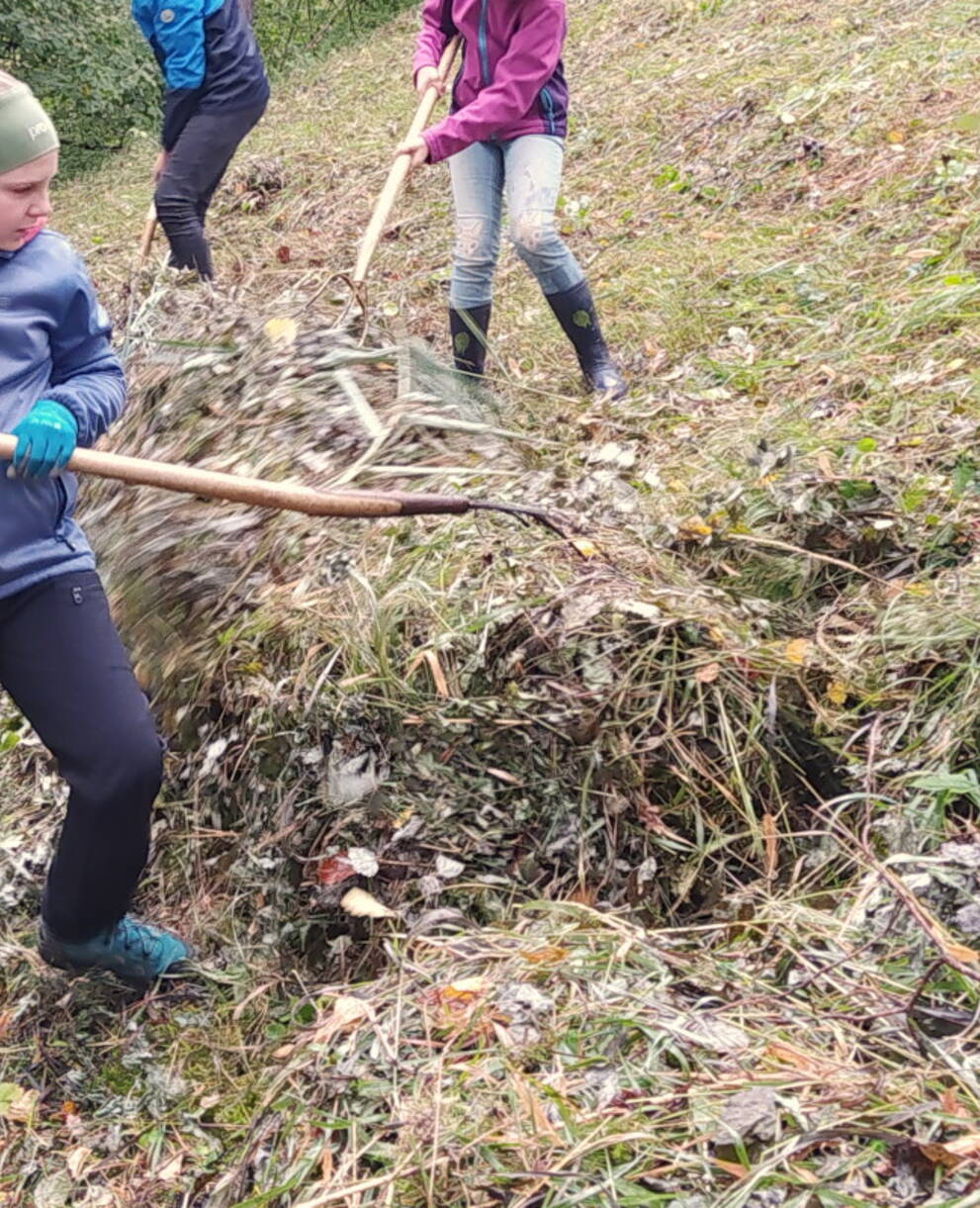 gemeinsam Arbeiten für die Natur