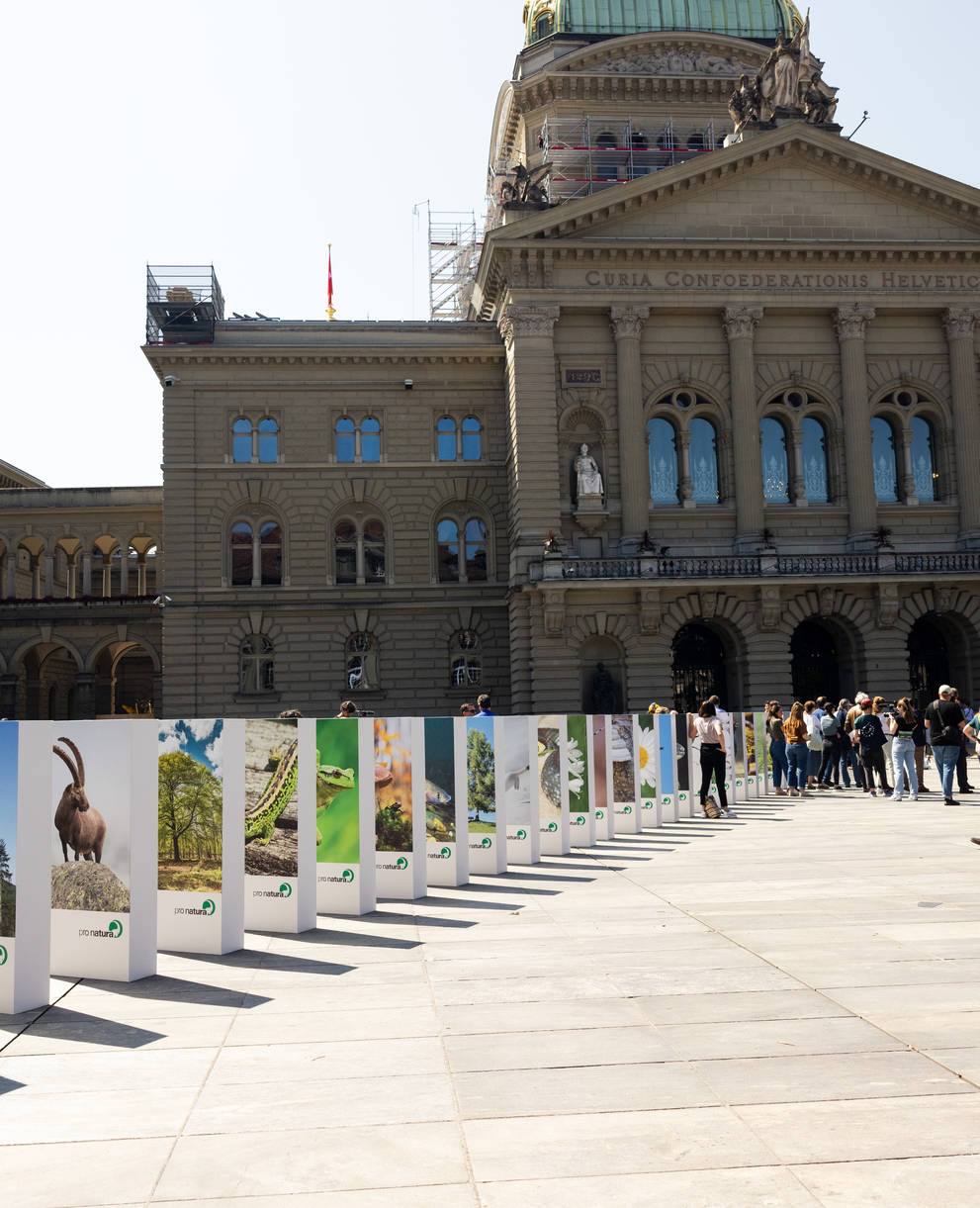 Am 22. Mai 2023, dem internationalen Tag der Biodiversität, zeigte Pro Natura vor dem Bundeshaus mit einem riesigen Dominoeffekt, dass ein Zusammenbruch der biologischen Vielfalt die Grundlagen der menschlichen Existenz bedroht. © Claudio Büttler